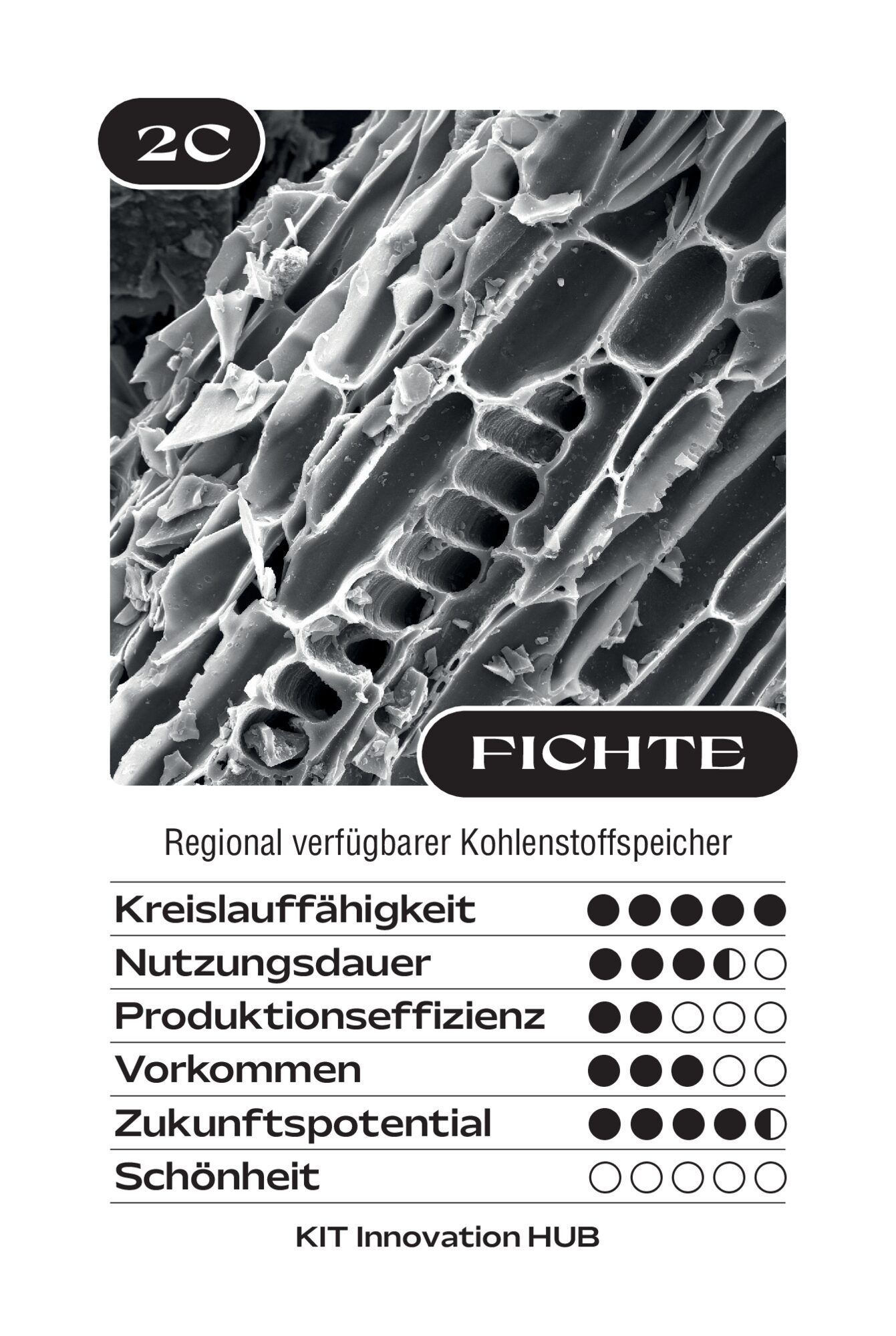 Quartettkarte mit einer schwarz-weißen Mikroskopaufnahme von Holzfasern, darunter „Fichte“ und eine Wertetabelle.